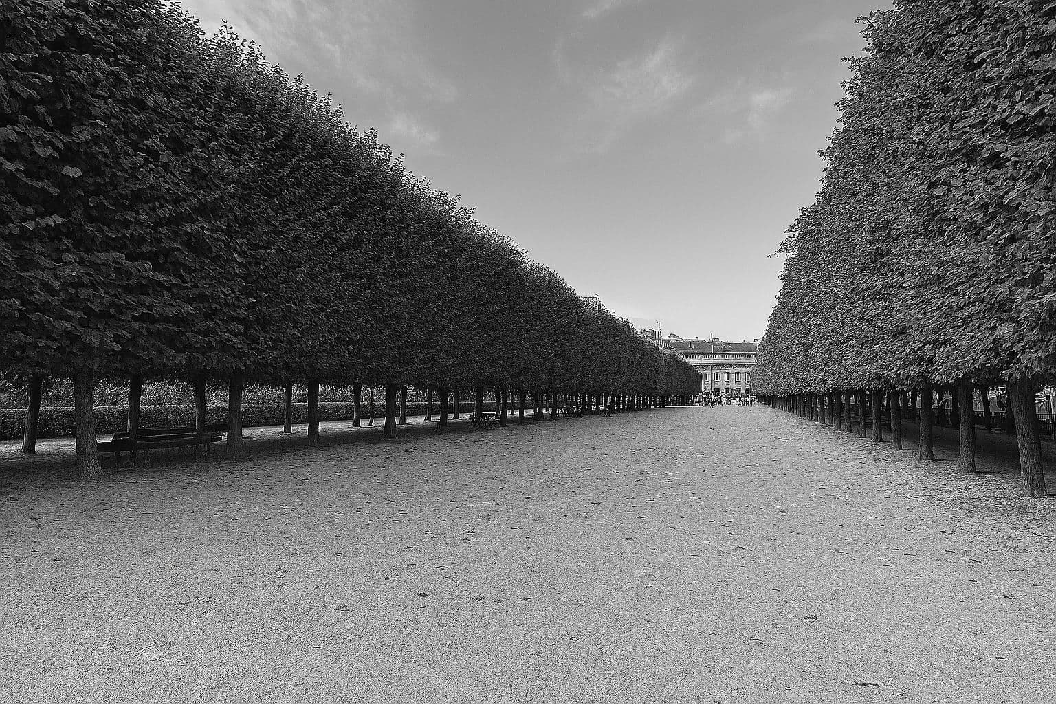 Paris H